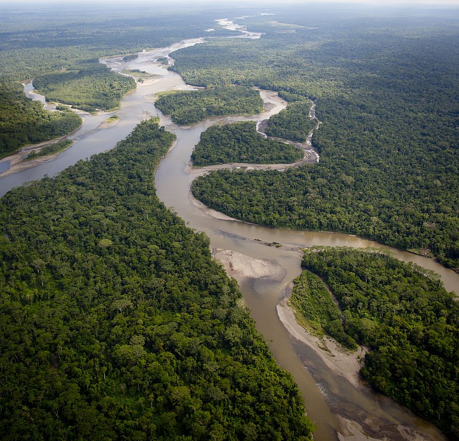 AMAZONAS