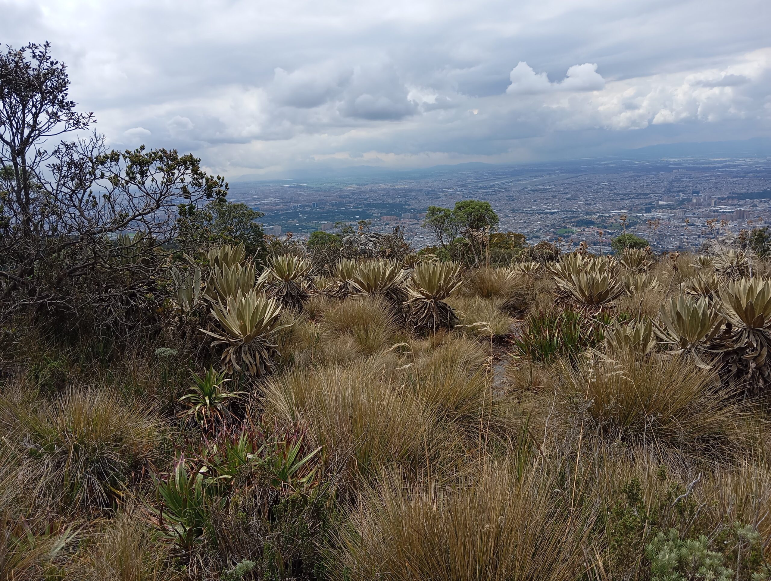 COLOMBIA